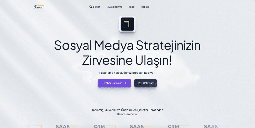 Social Media Corner website preview